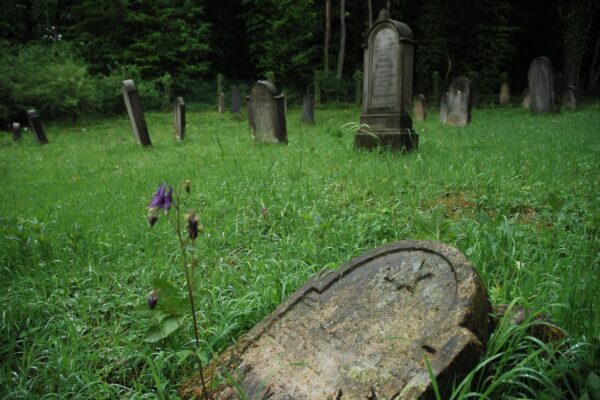 Grabsteine auf einer verwucherten Wiese