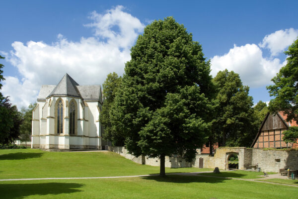 Kirche von Hinten mit großem Baum im Vordergrund auf einer Wiese stehend parkähnlich